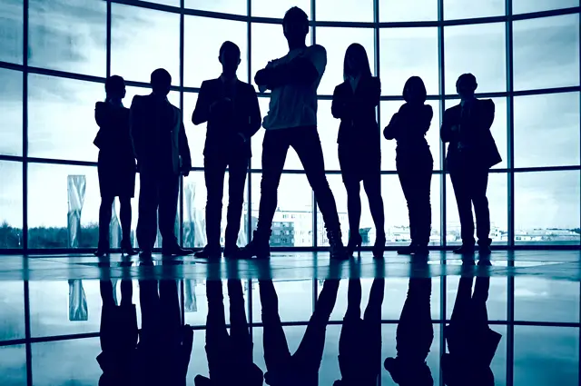 The Project Organisation